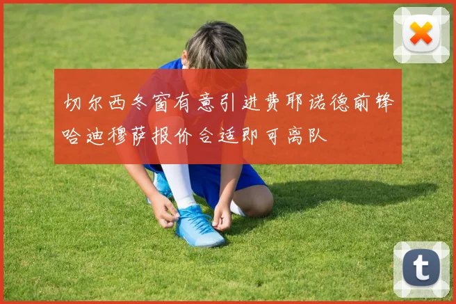 切尔西冬窗有意引进费耶诺德前锋哈迪穆萨报价合适即可离队